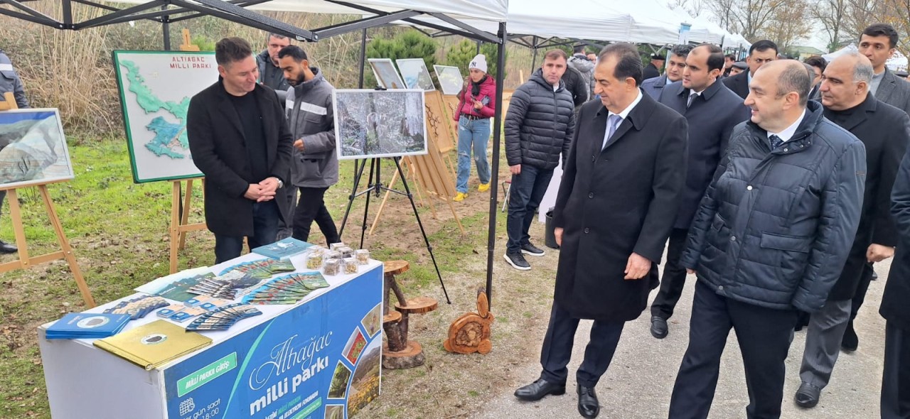 Lənkəranda "II Flaminqo Festivalı" keçirildi - FOTOLAR